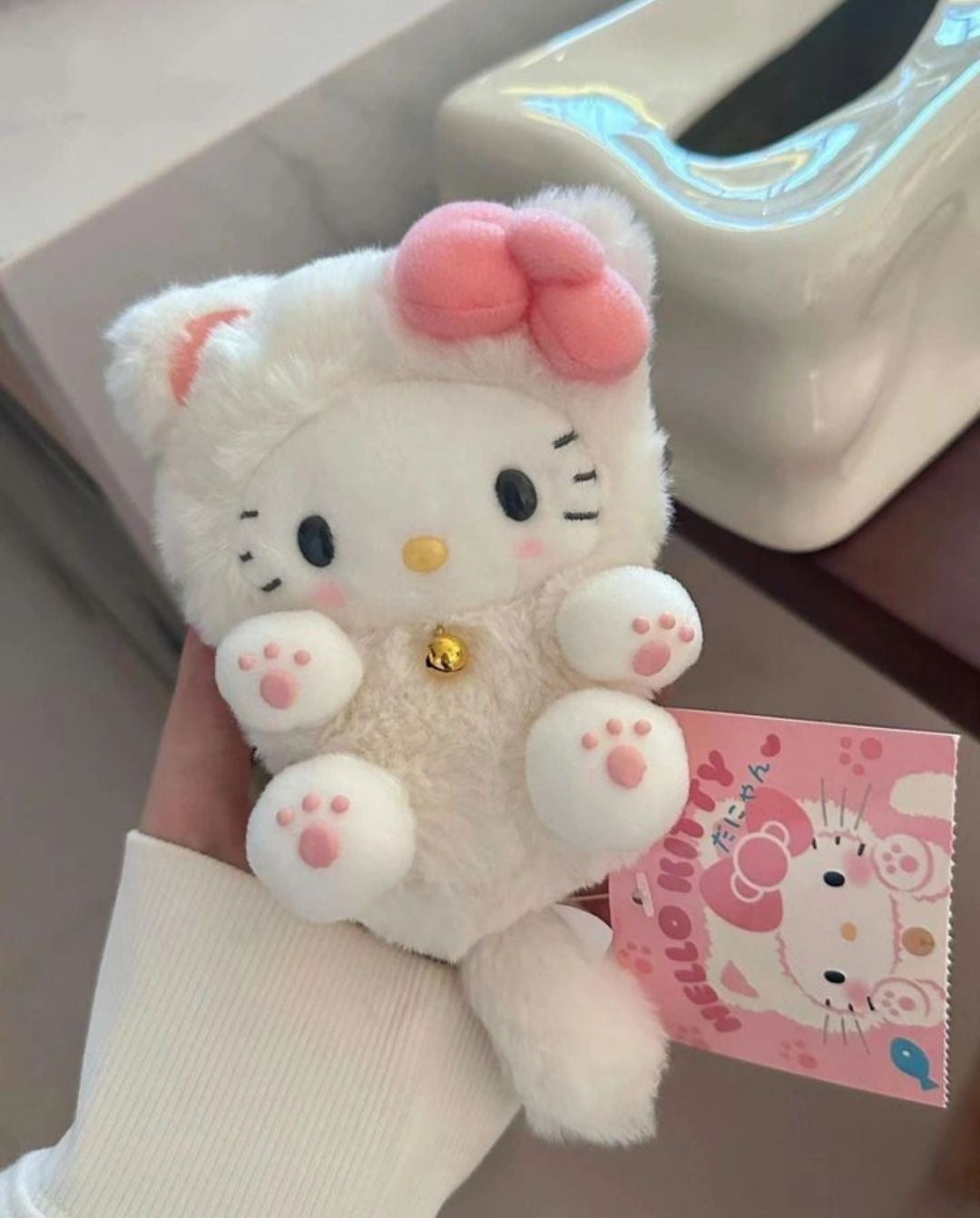 Sanrio & HelloKitty accessories