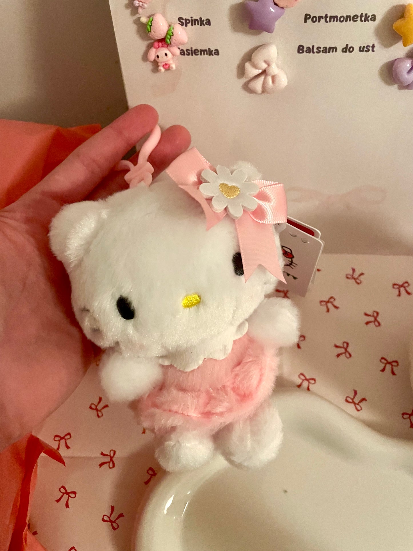 MYSTERY?? Sanrio Bag🎀 (Edycja limitowana)