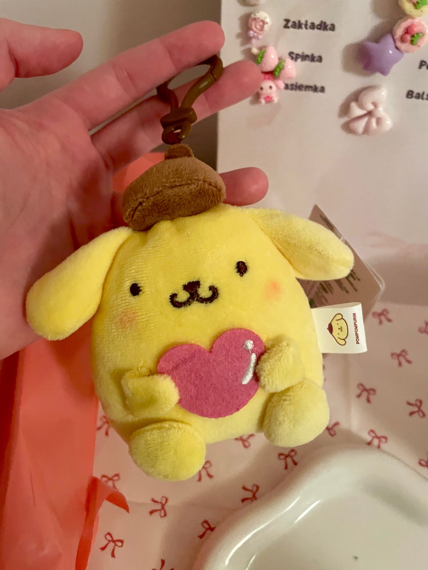 MYSTERY?? Sanrio Bag🎀 (Edycja limitowana)