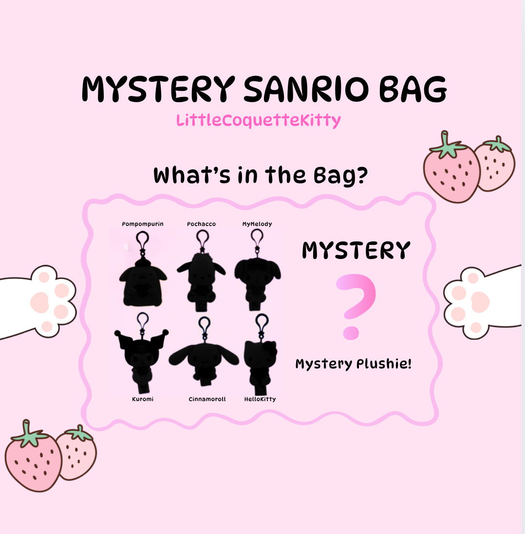 MYSTERY?? Sanrio Bag🎀 (Edycja limitowana)